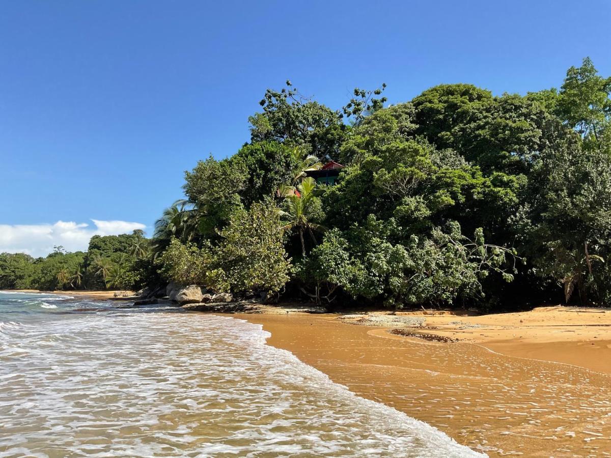 Tesoro Escondido Ecolodge Cabinas Бокас дел Торо Екстериор снимка