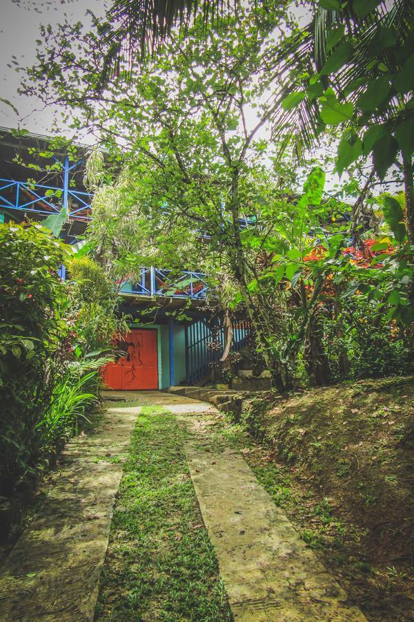 Tesoro Escondido Ecolodge Cabinas Бокас дел Торо Екстериор снимка